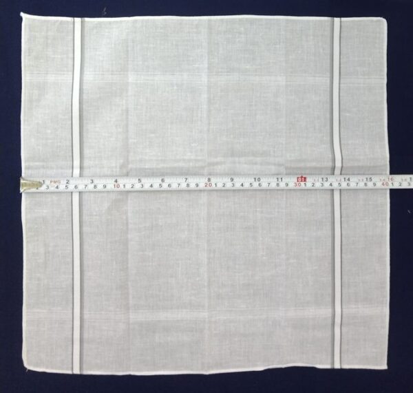 Arihant AH 1625 — White Cotton Handkerchiefs with Colour Borders, 16″ (41 cm)